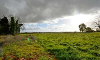 Terrain  6814 m² à vendre à Allemans-du-Dropt (47800)