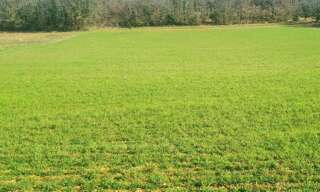 Terrain  9718 m² à vendre à Jayac (24590)