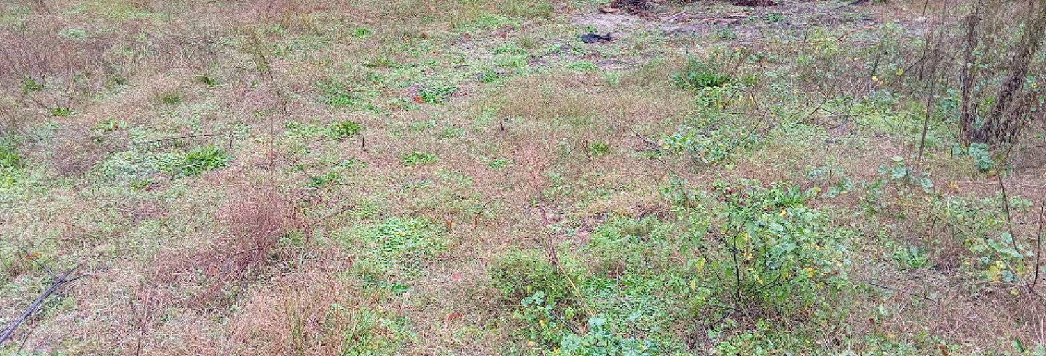 Terrain  430 m² à vendre à Le Teich (33470)