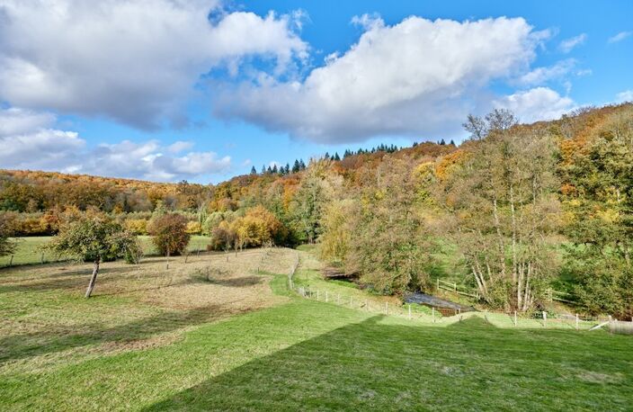 Propriété de charme entre Lisieux et Pont l'Evêque - 4 chambres - Piscine et terrain de 1.9 ha — photo 3