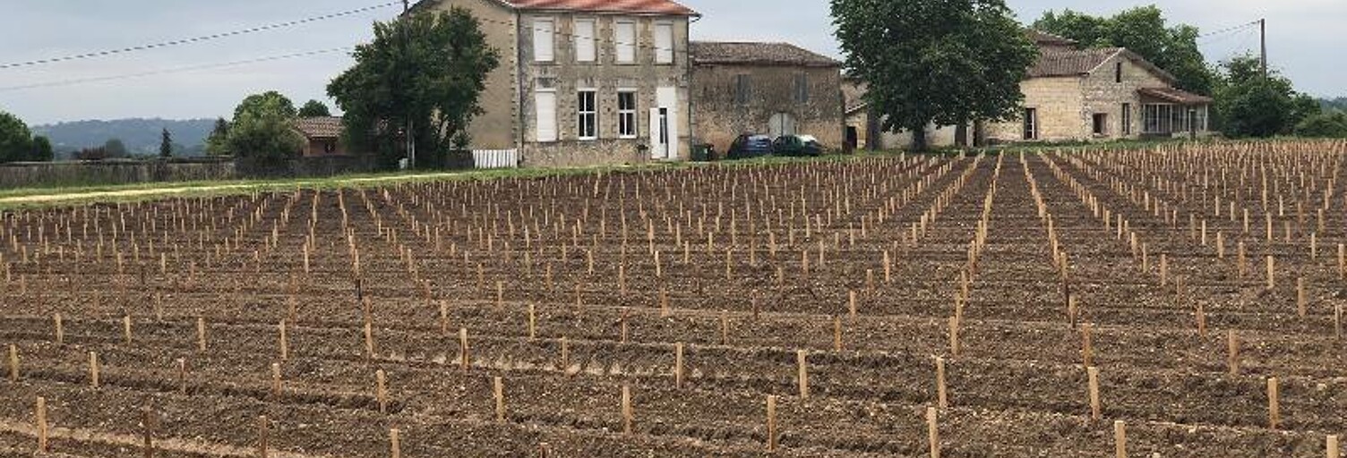 Maison 6 Pièces 150 m² à louer à Portets (33640)