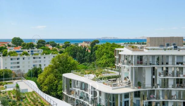 Appartement 4 pièces  à vendre Marseille 8eme 13008
