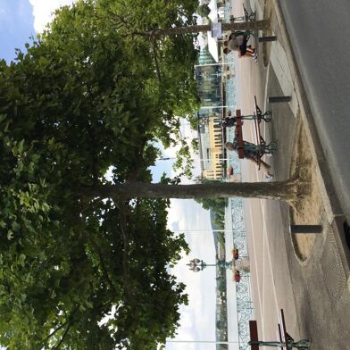 Appartement 3 pièces 1400 €