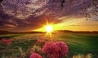 Appartement 2 Pièces 50 m² à louer à Cabasse (83340)