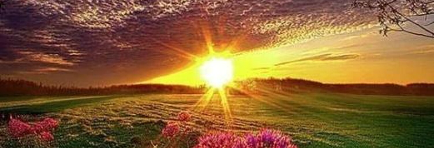 Appartement 2 Pièces 50 m² à louer à Cabasse (83340)