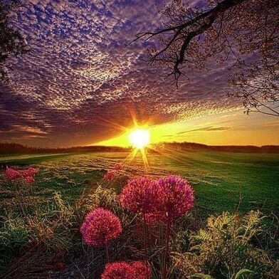 Appartement 2 pièces 350 €