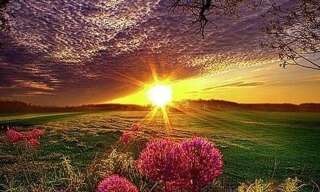 Appartement 2 Pièces 50 m² à louer à Cabasse (83340)