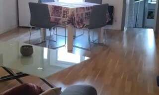 Appartement 2 Pièces 42 m² à louer à Roquebrune-sur-Argens (83520)