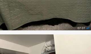 Appartement 1 Pièce 15 m² à louer à Boussy-Saint-Antoine (91800)