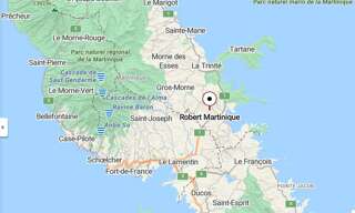 Appartement 2 Pièces 55 m² à louer à Le Robert (97231)