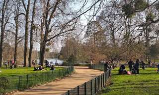 Appartement 1 Pièce 27 m² à louer à Vincennes (94300)