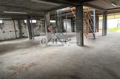 Local industriel  450000 €