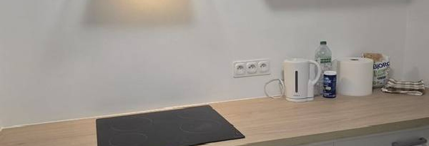 Appartement 1 Pièce 16 m² à louer à Lyon 8 (69008)