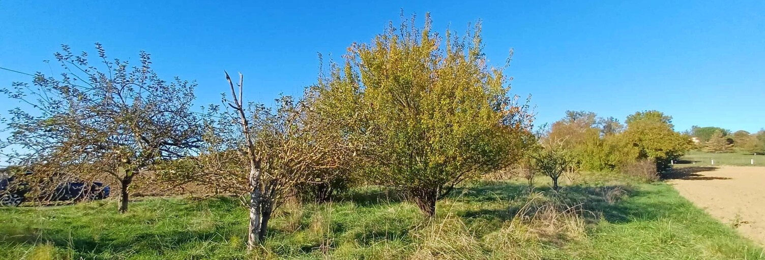 Terrain  1699 m² à vendre à Aigrefeuille (31280)