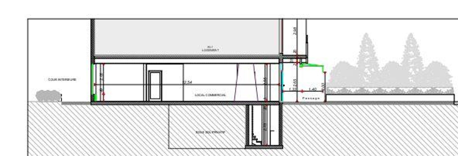 Commerce  130 m² à vendre à Paris 13 (75013)