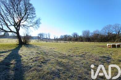 Terrain  53000 €