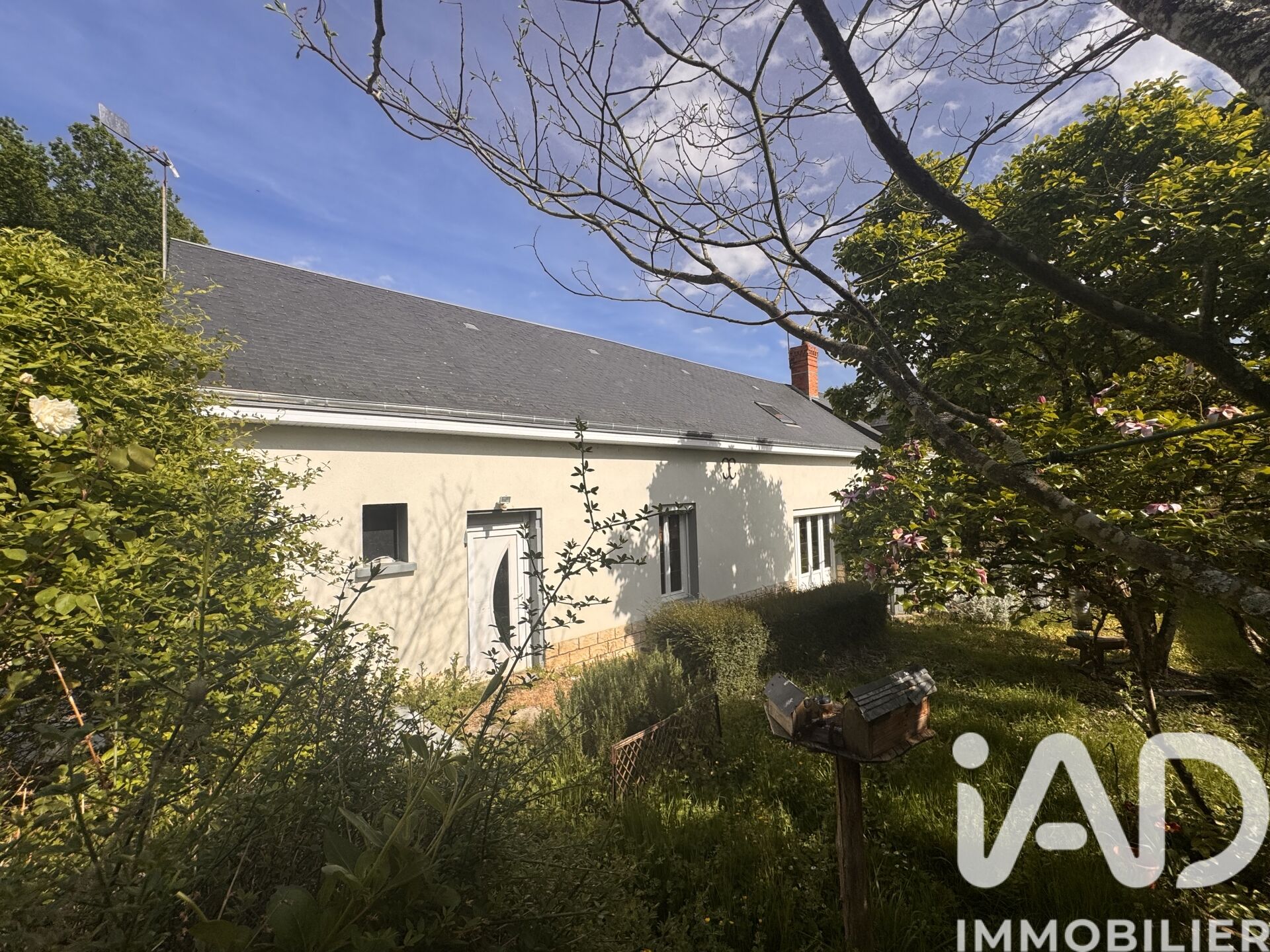 Maison à vendre, 7 pièces, 198 m², Langeais