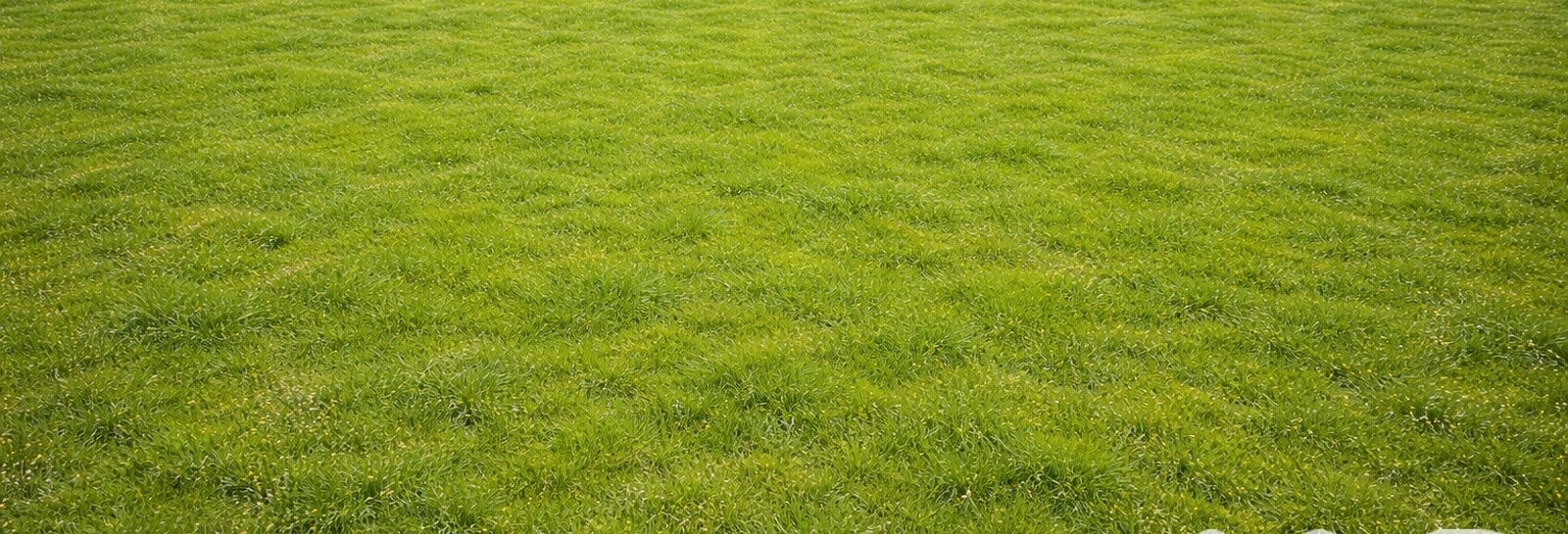 Terrain  72305 m² à vendre à Taron-Sadirac-Viellenave (64330)