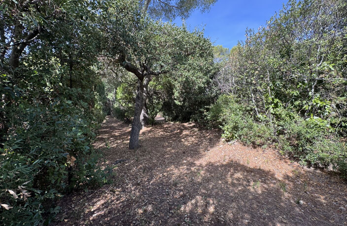 VILLA  BOULOURIS avec Piscine  185 m2 - terrain 1629 m2 — photo 5