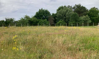 Terrain  900 m² à vendre à Les Peintures (33230)