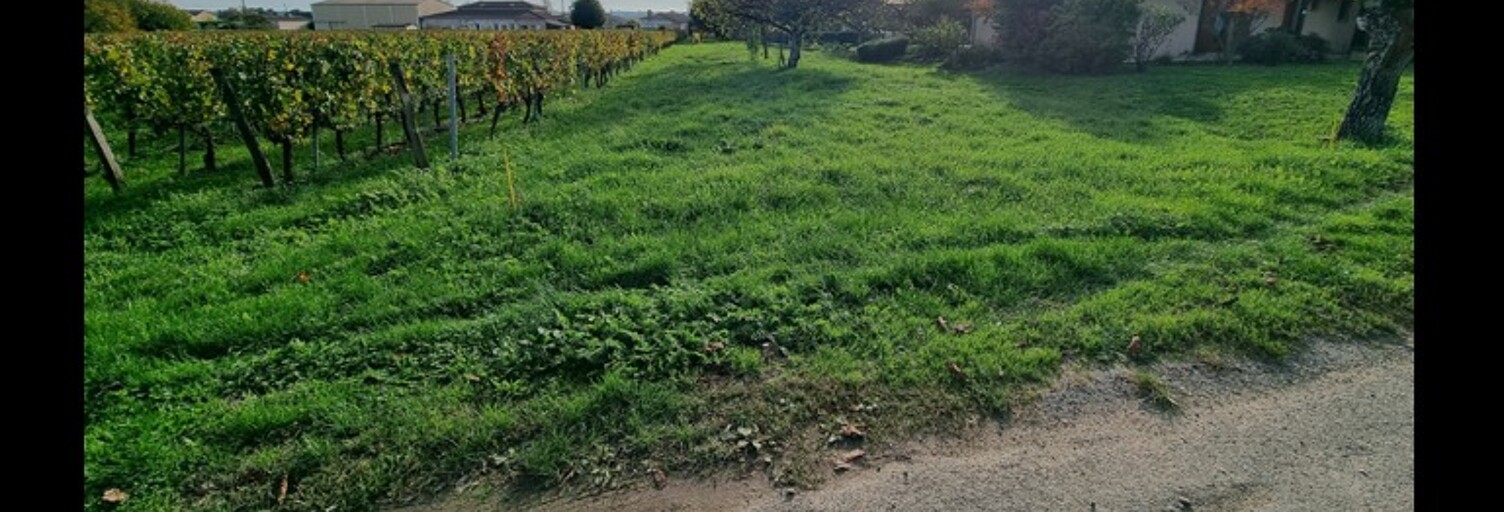 Terrain  877 m² à vendre à Saint-Magne-de-Castillon (33350)