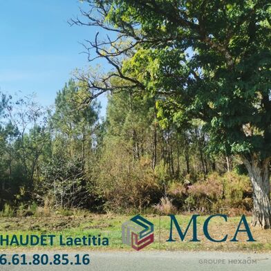 Terrain  91000 €