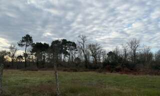 Terrain  856 m² à vendre à Balizac (33730)