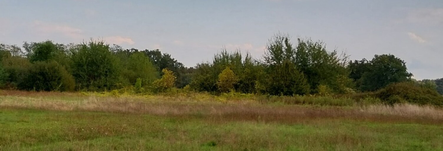 Terrain  800 m² à vendre à Sadirac (33670)