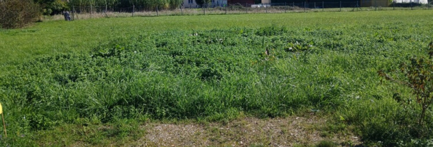 Terrain  864 m² à vendre à Carcans (33121)