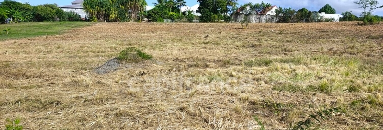 Terrain  500 m² à vendre à Anse-Bertrand (97121)