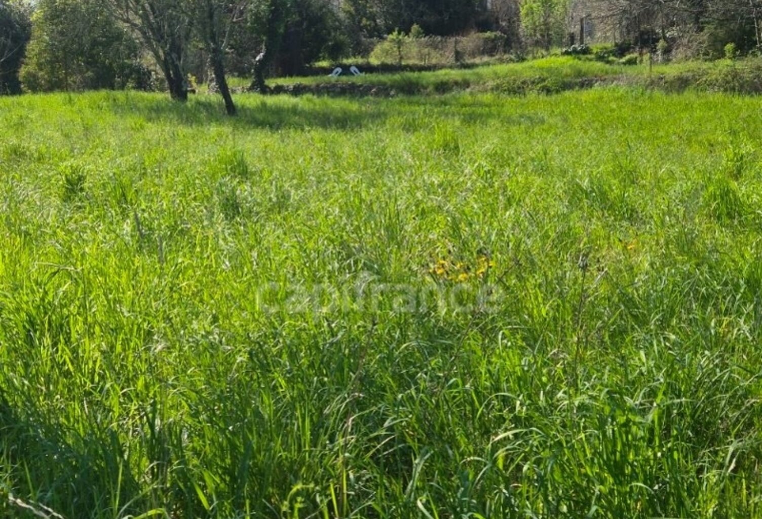 Terrain à vendre de 650,00 m² CASSAGNOLES (30) — photo 1