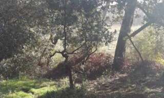 Maison 2 Pièces 63 m² à louer à Lambesc (13410)