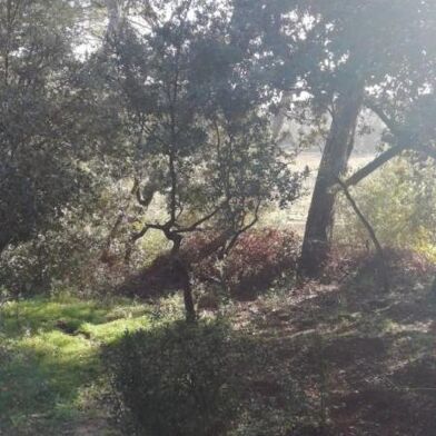 Maison 2 pièces 830 €