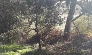 Maison 2 Pièces 63 m² à louer à Lambesc (13410)