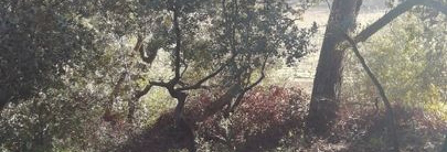 Maison 2 Pièces 63 m² à louer à Lambesc (13410)