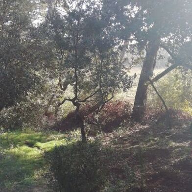 Maison 2 pièces 830 €