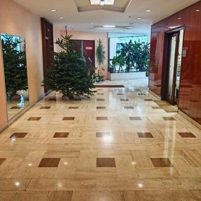 Appartement 1 pièces 1200 €