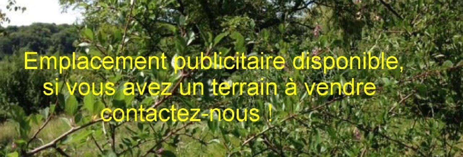 Terrain  450 m² à vendre à L'Isle-Adam (95290)
