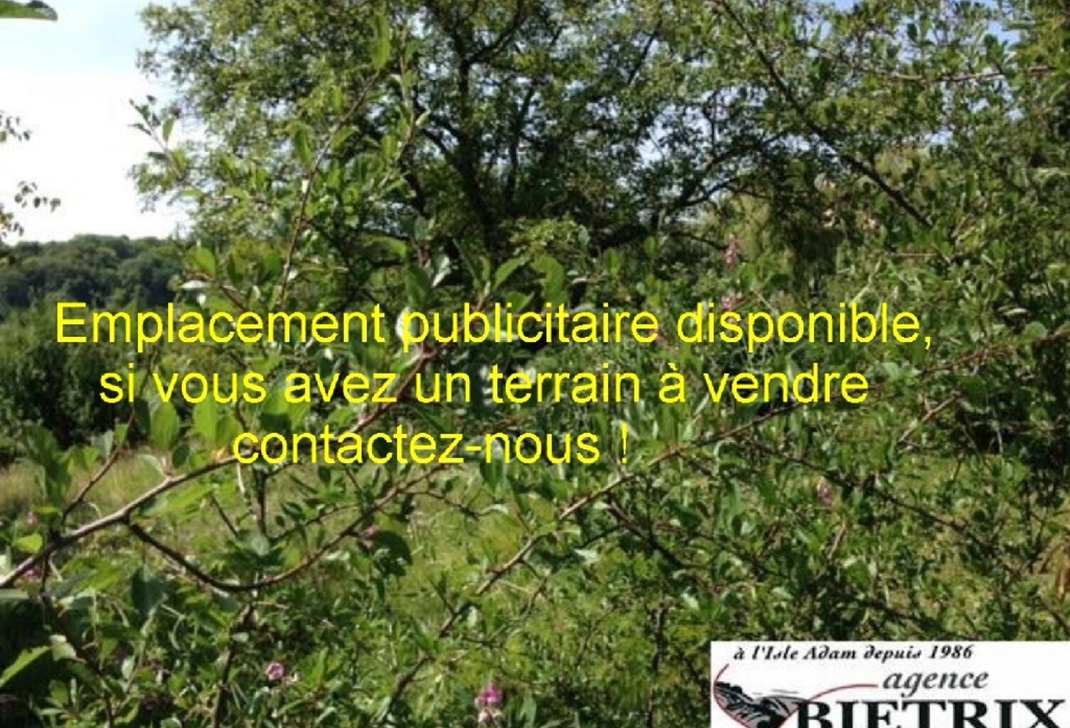 Vente terrain  450 m² L'Isle-Adam (95290) — photo 1
