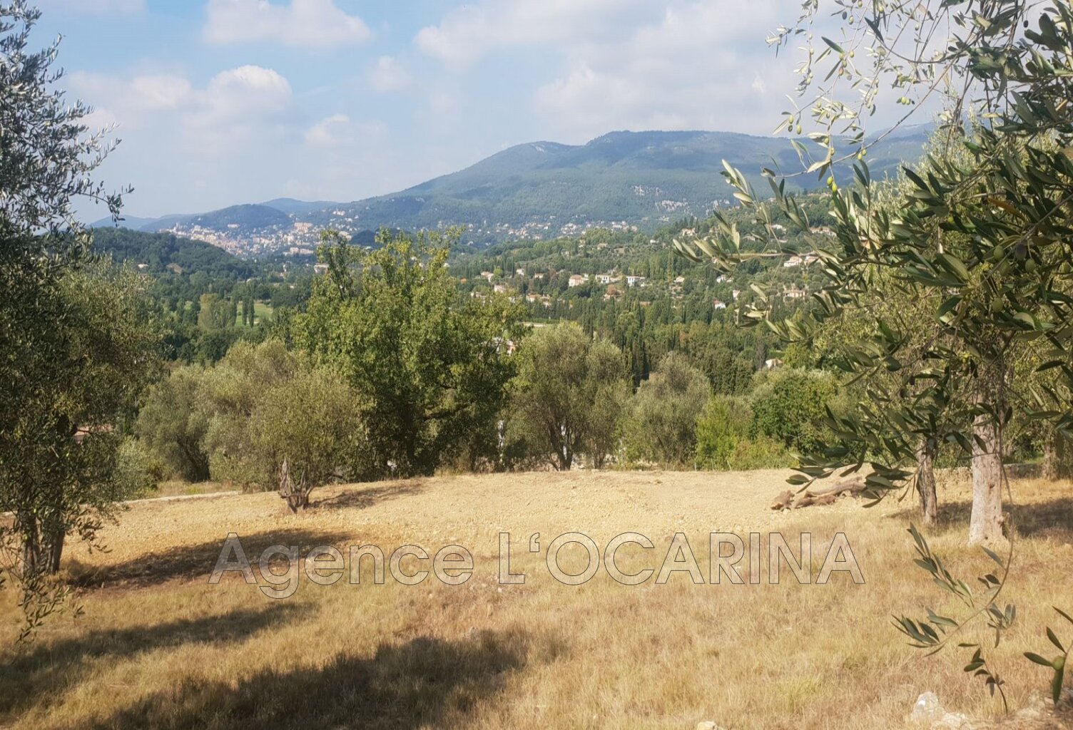 vente terrain — photo 1