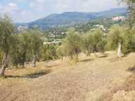 vente terrain — photo 2