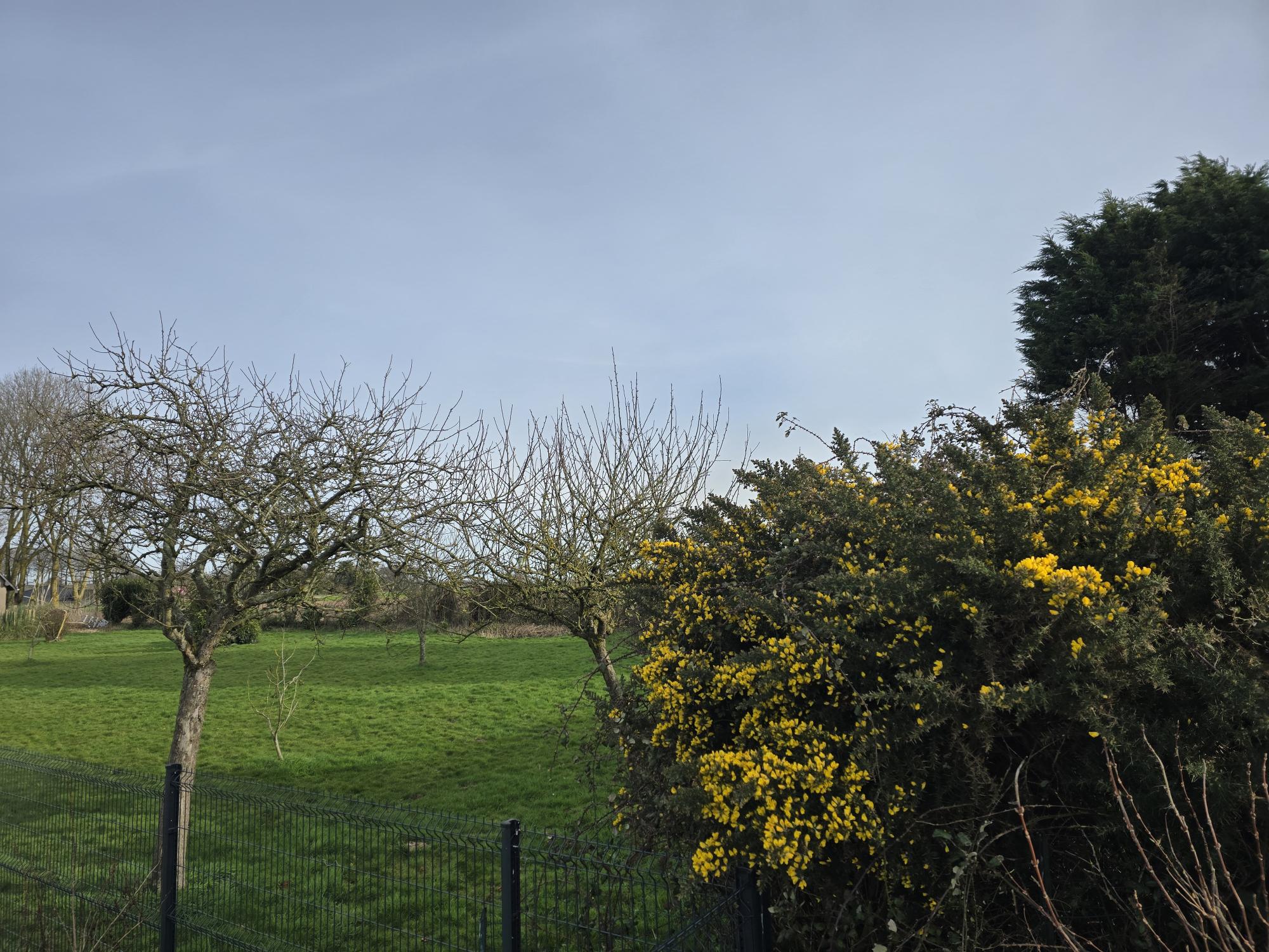 Agence immobilière de Agence Maupassant