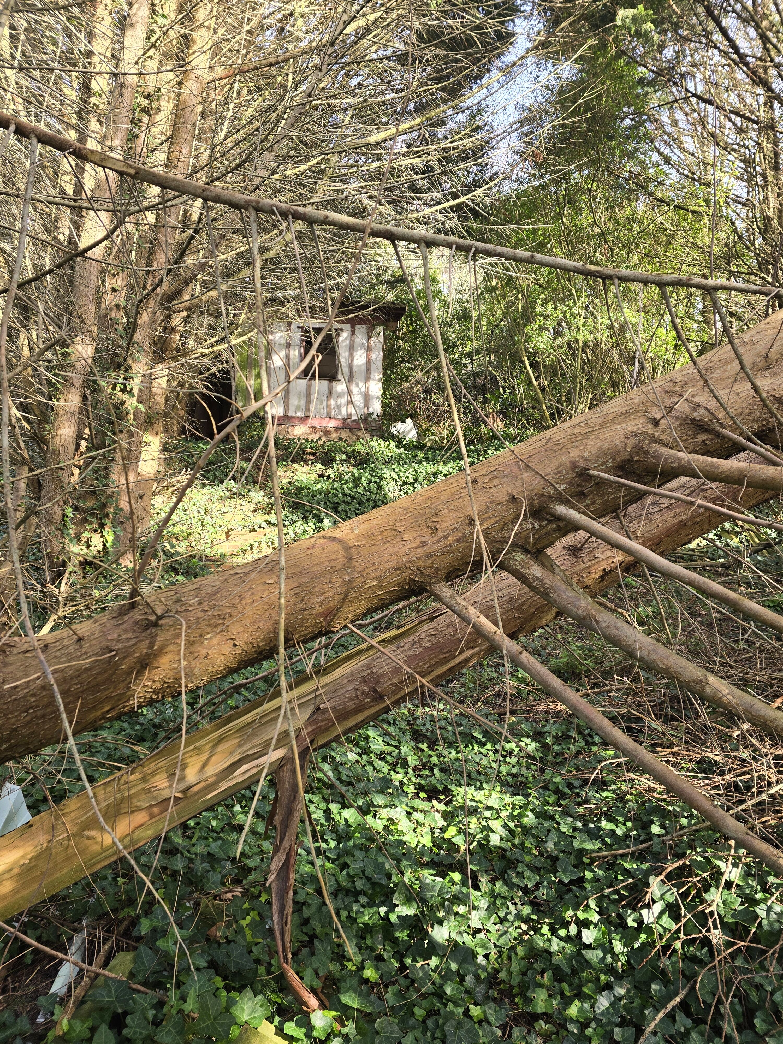 Agence immobilière de Agence Maupassant