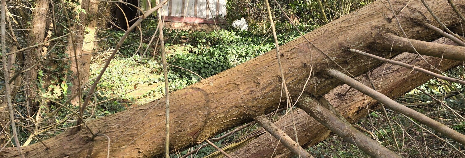 Terrain  676 m² à vendre à Fécamp (76400)