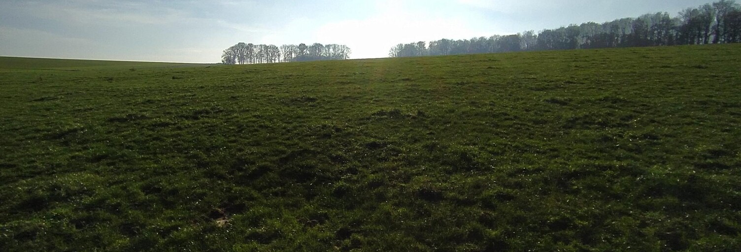 Terrain  1225 m² à vendre à Sapogne-et-Feuchères (08160)