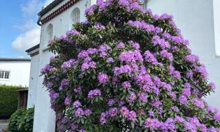 Maison 4 Pièces 110 m² à vendre à Tarbes (65000)