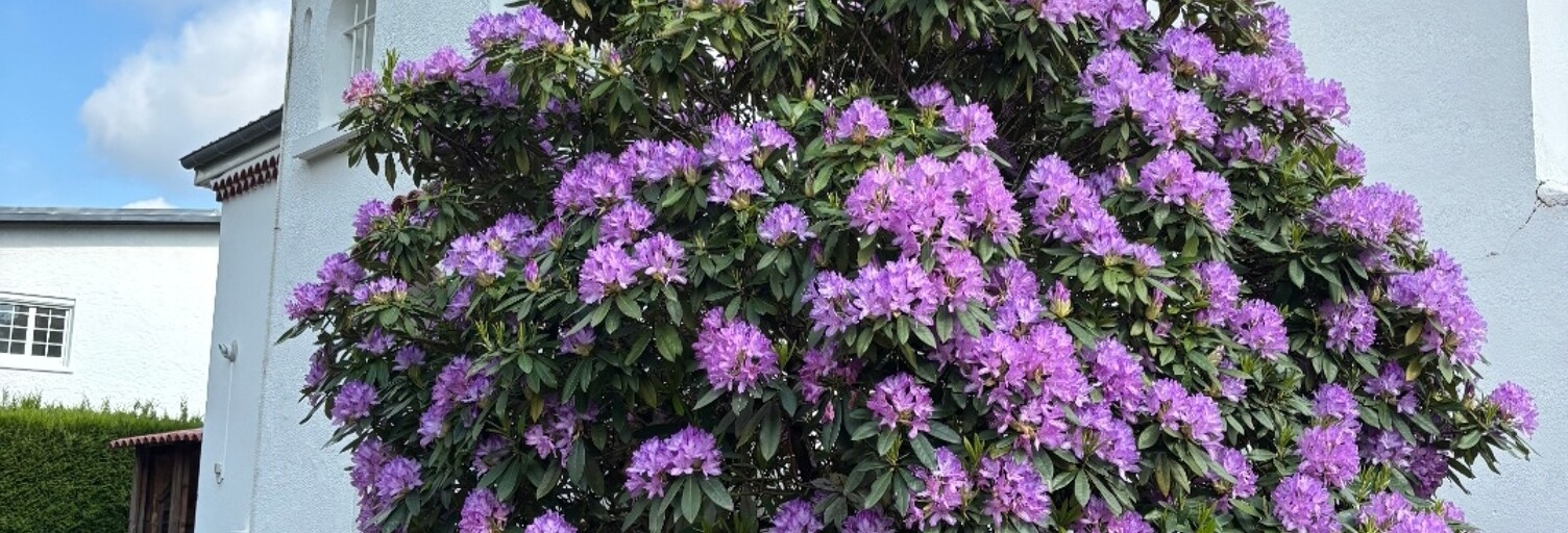 Maison 4 Pièces 110 m² à vendre à Tarbes (65000)