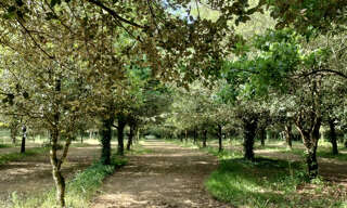 Maison 6 Pièces 159 m² à vendre à Bois (17240)