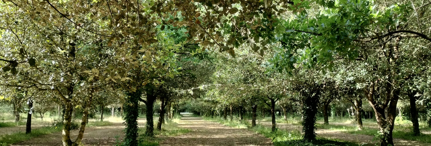 Maison 6 Pièces 159 m² à vendre à Bois (17240)