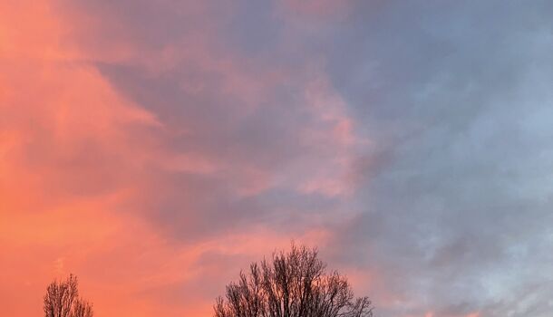 Villa / Maison 6 pièces  à vendre Soustons 40140